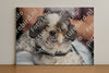 Evenement foto: 2251