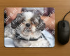 Evenement foto: 2251