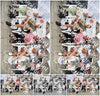 Evenement foto: 2252
