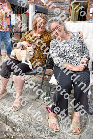 Evenement foto: 2252