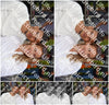 Evenement foto: 2256