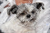 Evenement foto: 2256