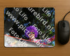 Evenement foto: 3000
