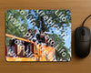 Evenement foto: 3000