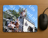 Evenement foto: 3000