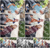 Evenement foto: 3002