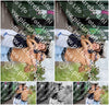 Evenement foto: 3002