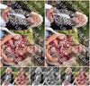 Evenement foto: 3016
