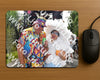 Evenement foto: 3016