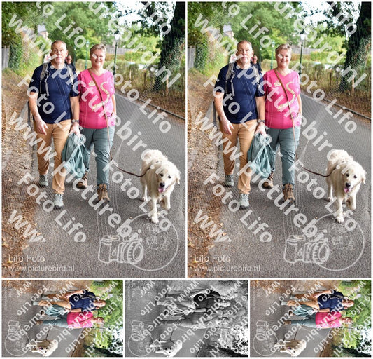 Evenement foto: 871