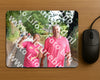 Evenement foto: 871