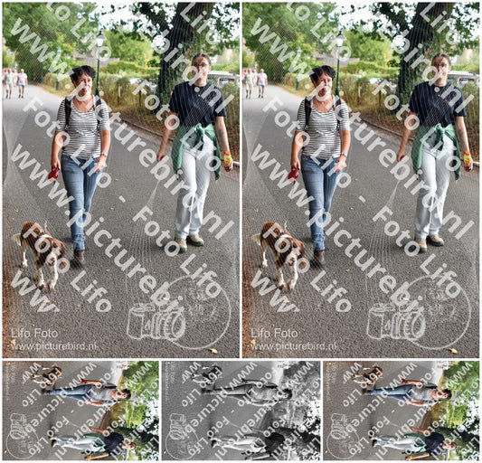 Evenement foto: 871