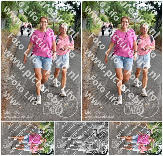 Evenement foto: 871