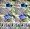 Evenement foto: 871