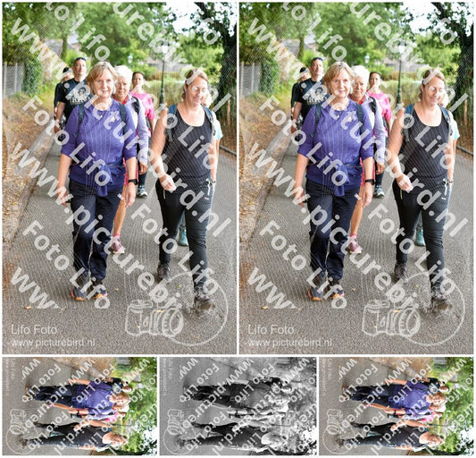 Evenement foto: 871