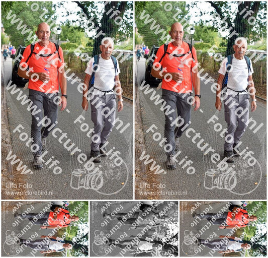 Evenement foto: 871