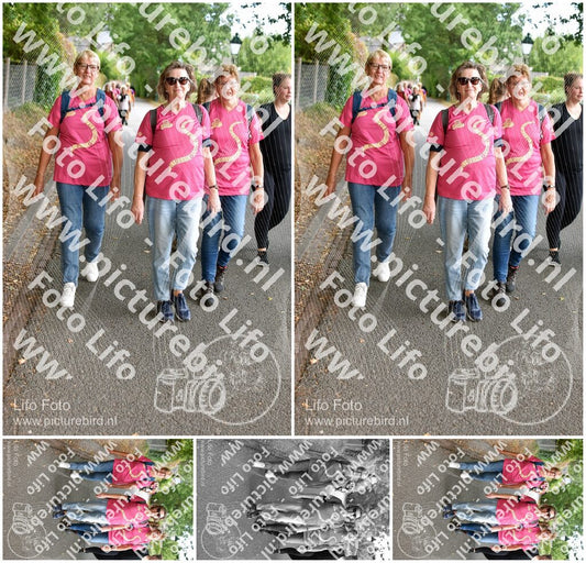 Evenement foto: 871
