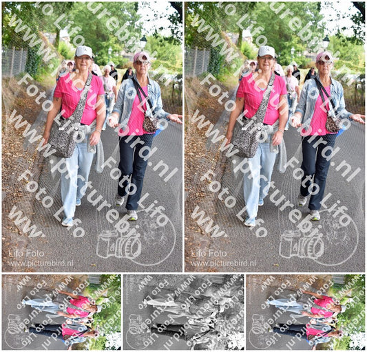Evenement foto: 872