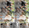 Evenement foto: 872