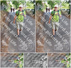 Evenement foto: 872