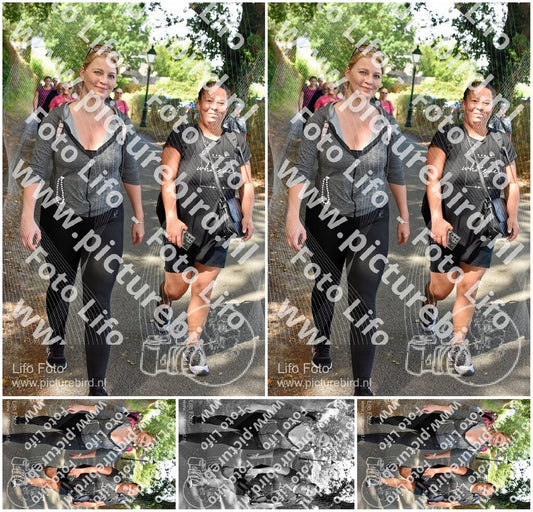 Evenement foto: 872