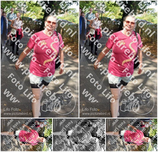 Evenement foto: 872