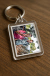 Evenement foto: 872
