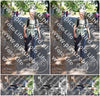 Evenement foto: 873