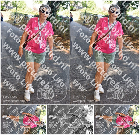 Evenement foto: 873