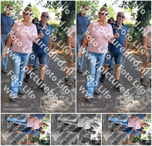Evenement foto: 873