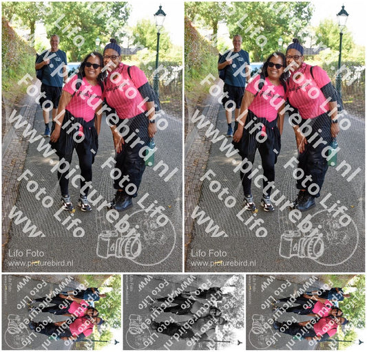 Evenement foto: 873