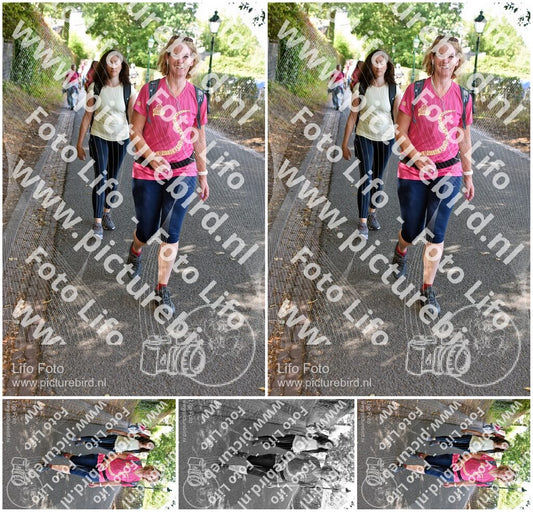 Evenement foto: 873