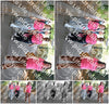 Evenement foto: 873