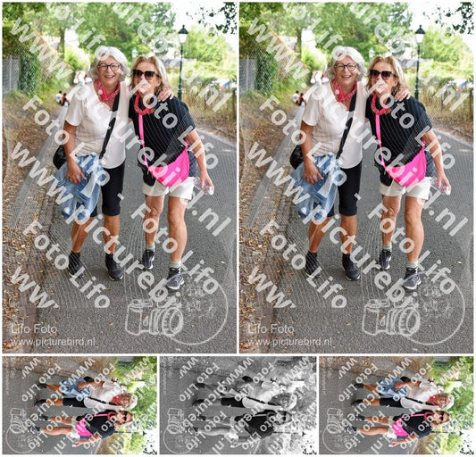Evenement foto: 874