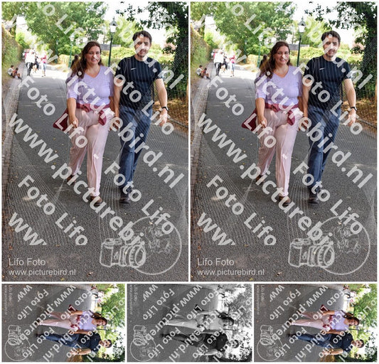 Evenement foto: 874
