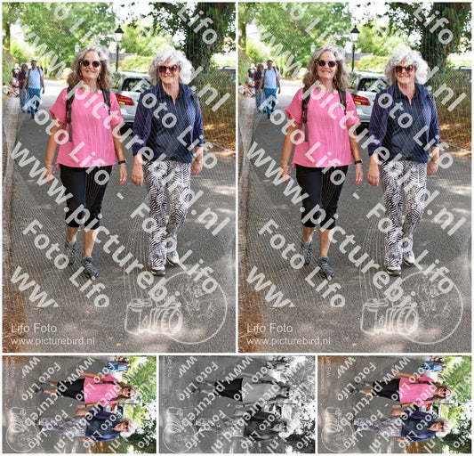 Evenement foto: 874