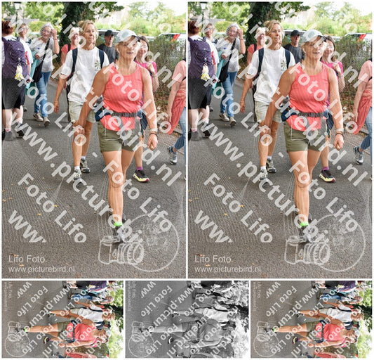 Evenement foto: 874