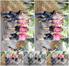 Evenement foto: 874