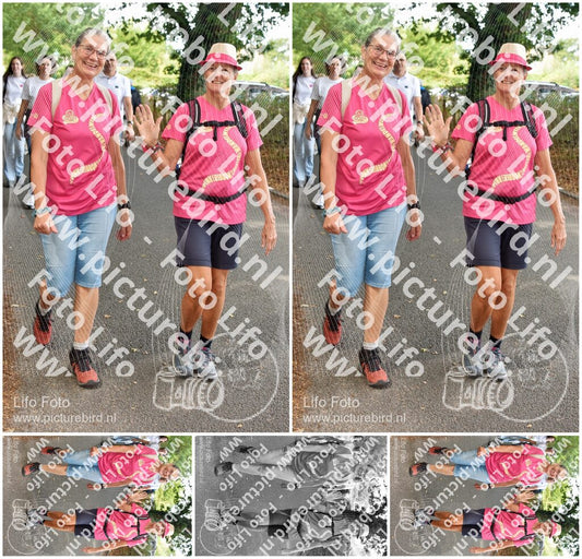 Evenement foto: 875
