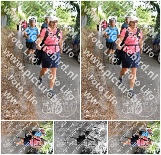 Evenement foto: 875