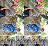 Evenement foto: 875