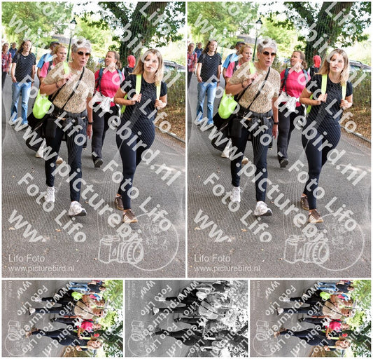 Evenement foto: 875