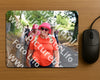 Evenement foto: 875