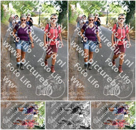 Evenement foto: 876