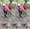 Evenement foto: 876