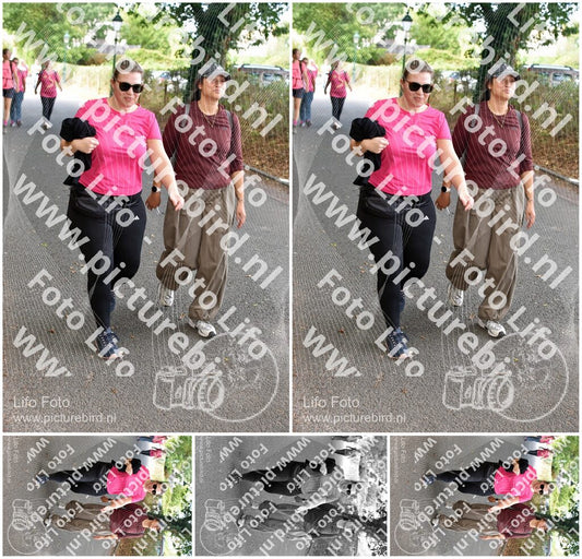 Evenement foto: 876