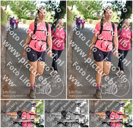 Evenement foto: 876
