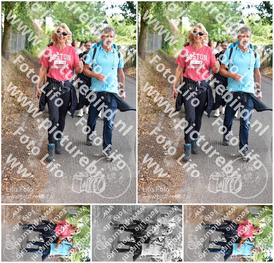 Evenement foto: 876