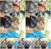 Evenement foto: 876