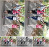 Evenement foto: 876